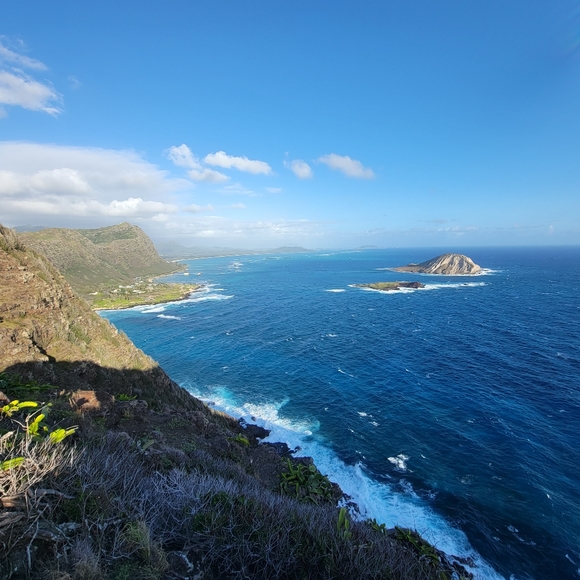 Meet your Posher, Aimee - Picture 4 of 12